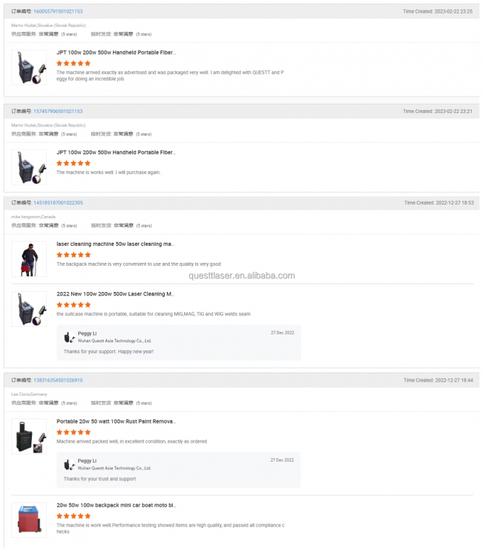 펄스 200w 300w 가방을 섬유 레이저 청소 기계 진드기 제거 기계 11